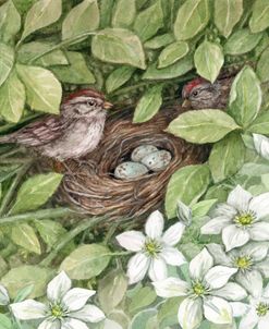 Sparrow Nest Spring Surprise