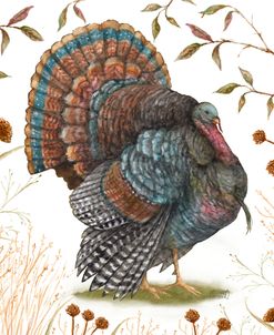 Fall Strutting Turkey