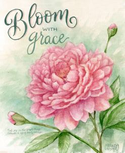 Pink Peony Flower Bloom With Grace