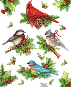 Song Birds In Winter With Ribbon