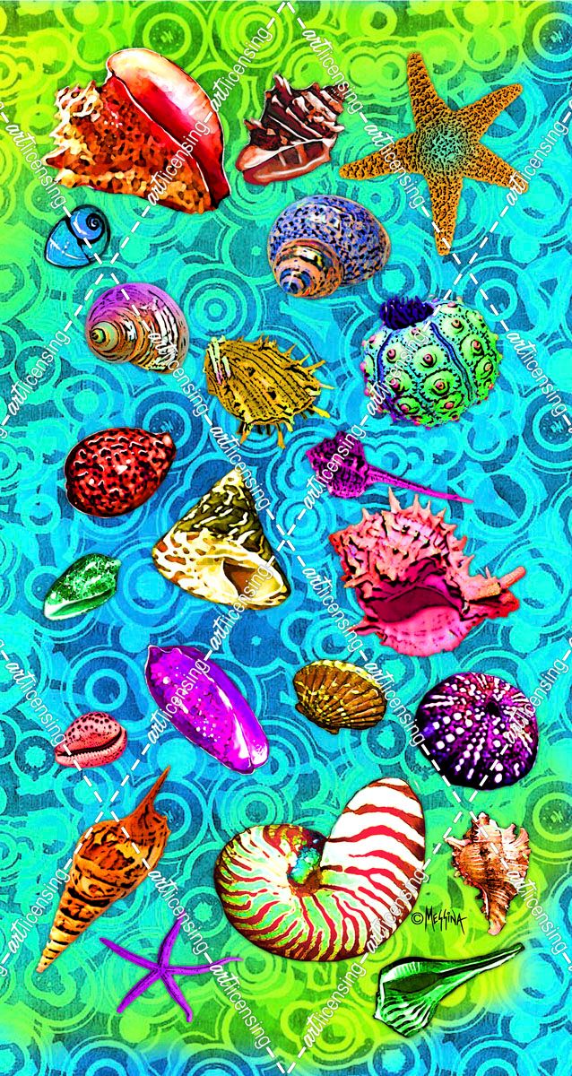 Shells Collage