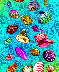 Shells Collage