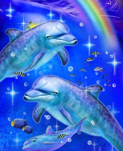 Rainbow Dolphin Family