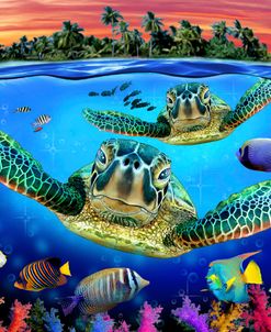 Turtle Reef