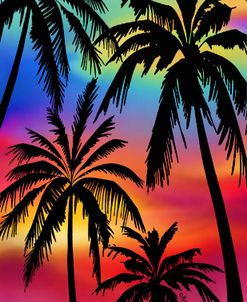 Sunset Palms