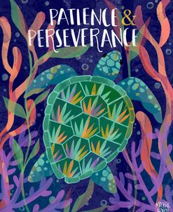 Patience And Perseverance