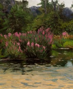Purple Loosestrife Pond