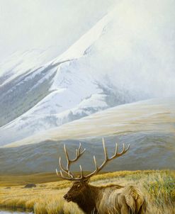 Autumn Uprights, Elk