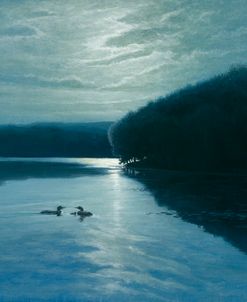 Moonlight Loons