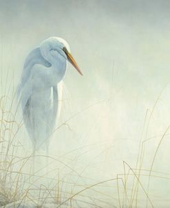Solitude Egret