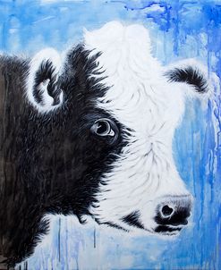 Black and White Cow