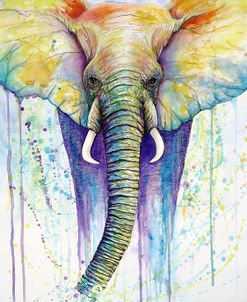 Elephant Colors