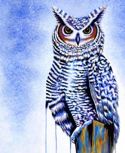 Great Horned Owl In Blue