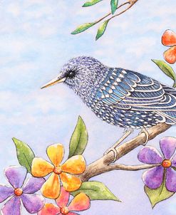 Starling Bird with Flowers