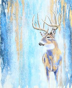 Winter Buck