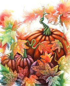 Autumn Pumpkins