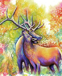 Elk Love