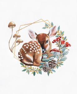 Baby Fawn