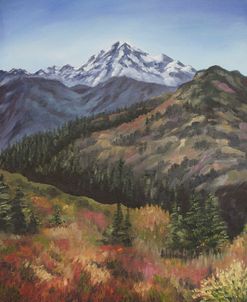 Alpine Meadow