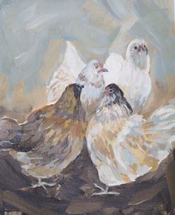 Chicken Gossip