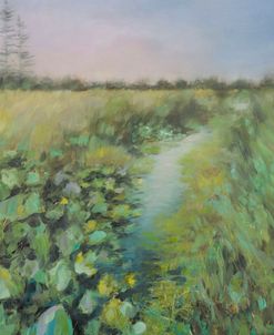 Lily Pads on Marsh