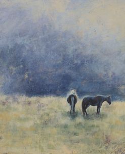 Misty Morning Horses