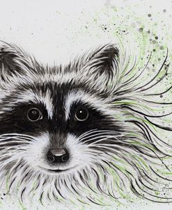 Raccoon