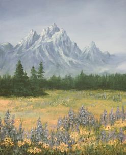 Mountain Wildflowers