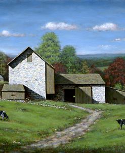 Blue Sky Pastures