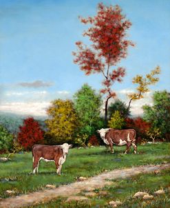 Cowsiness Color