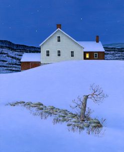 Winter Night