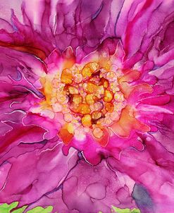 Pink Passion