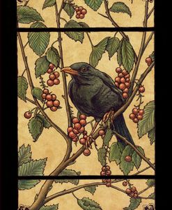 Apple Raven