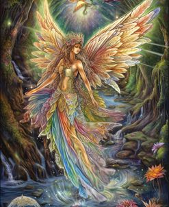 Jw Faerie 43