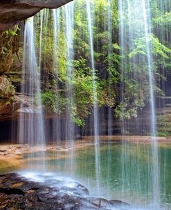 Alabama Caney Creek Veil H 9005