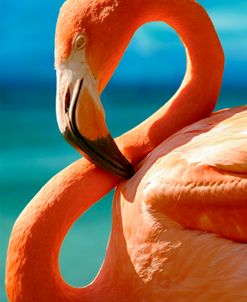 Flamingo S 9586