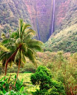 Waipio Valley H1