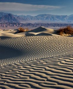 Death Valley Mesquite Dunes 2-11 7263
