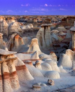 Bisti Badlands 2-10 9037