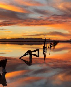 Great Salt Lake Pilings Sunset 11-16  3044