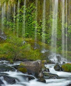 Mossbrae Falls 8-11 8527