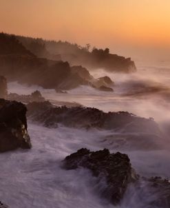 Oregon Shore Acres SP Dusk 10-14 9092