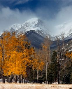 RMNP Aspens and Storm Clouds 10-10 2807