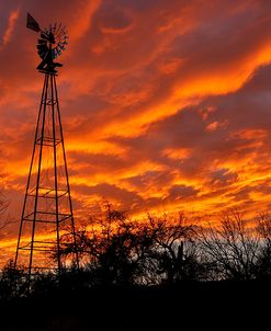 Superior Windmill Sunset 3-13 1764