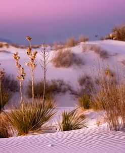 White Sands Dusk 12-12 1365