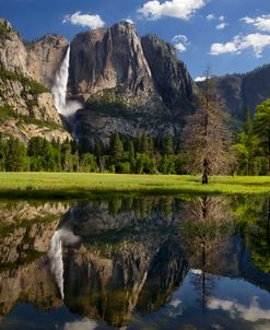 Yosemite Falls Reflection 6-11 4947