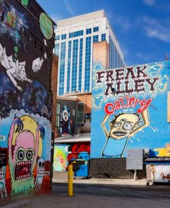 Boise Freak Alley 8=15 9221