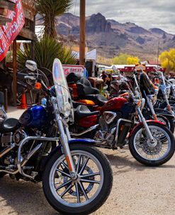 Rt 66 Fun Run Oatman Motorcycles 4-16 8377