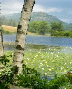 Acadia NP Long Pond 6304