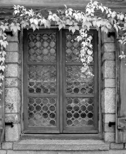 Acadia NP Window Infrared 8046